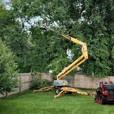 Best Tree Risk Assessment  in Flossmoor, IL